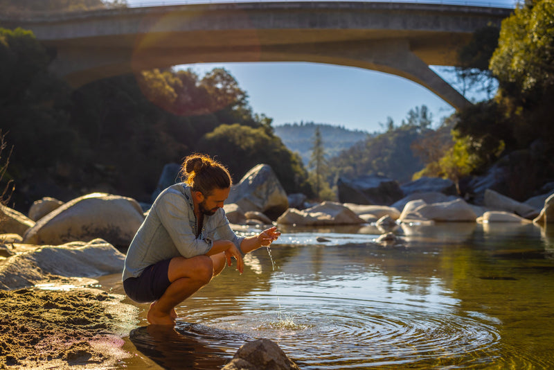 To Nourish: An Antidote to the Crisis of Flow